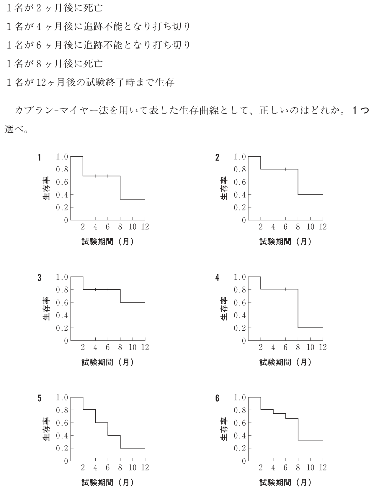 選択肢図